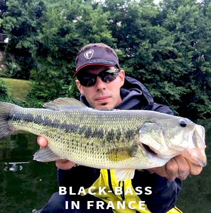 black bass fishing in France